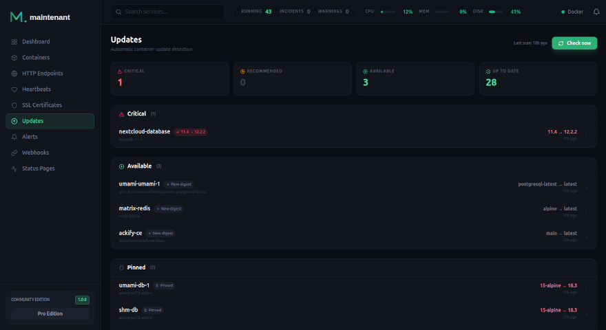 Update intelligence — critical, available, pinned versions